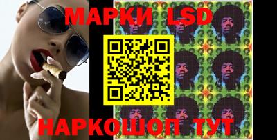 мяу мяу мука Аргун